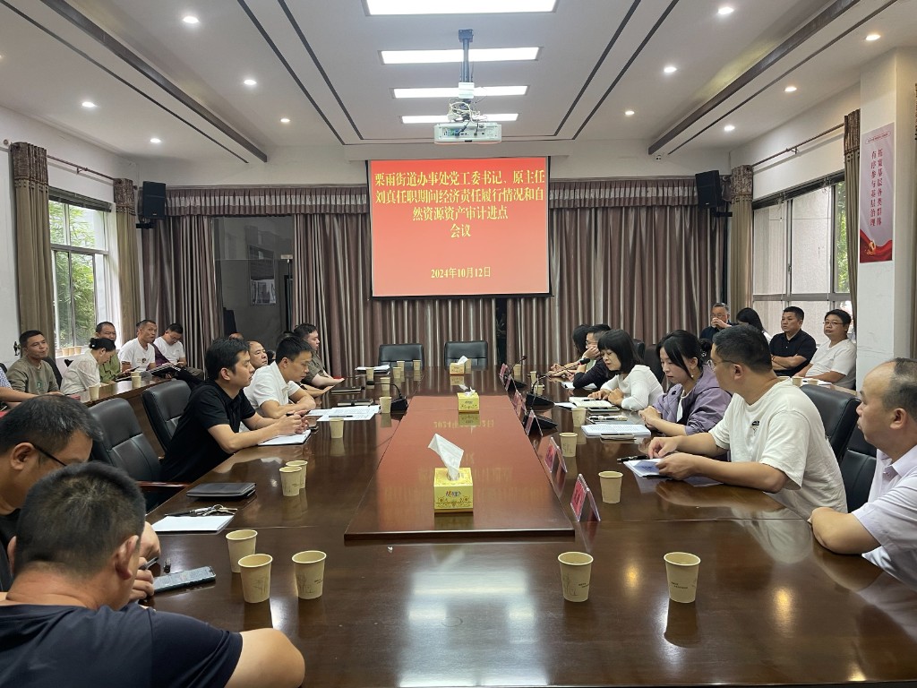天元区审计局启动对栗办党工委书记、原主任刘真任职期间经济责任履行情况和自然资源资产审计
