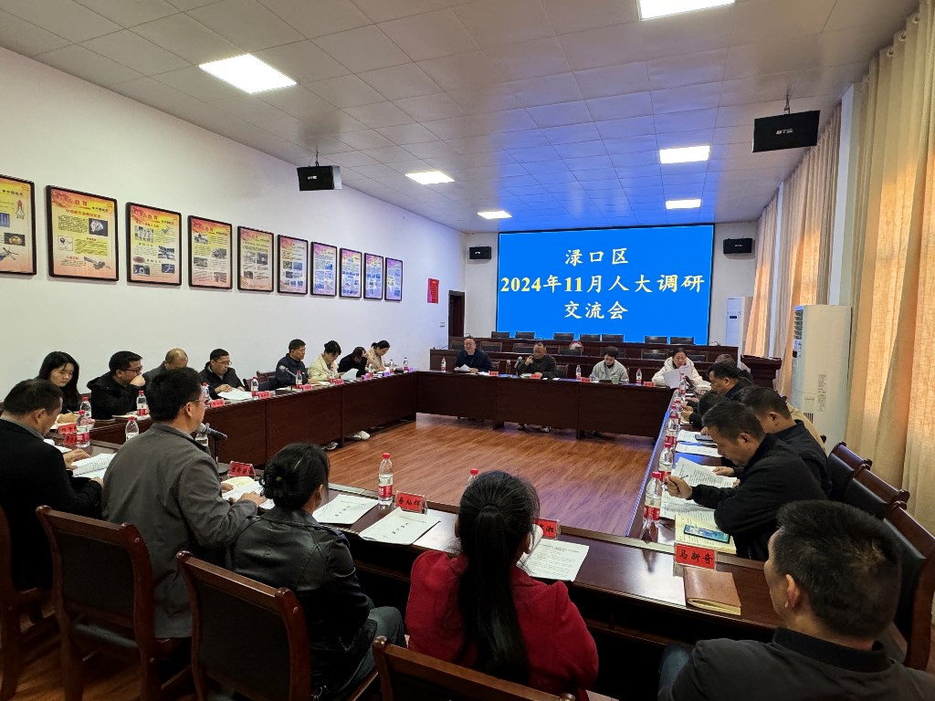 渌口区11月份镇人大工作调研交流会在古岳峰镇召开