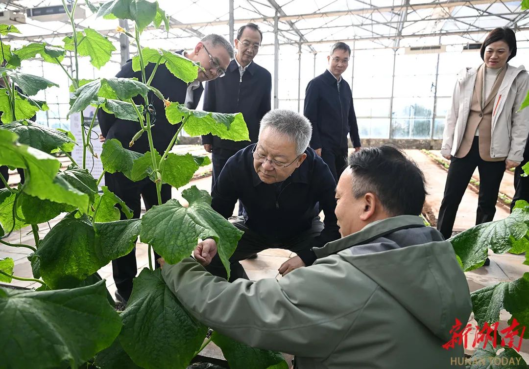 沈晓明调研株洲经济社会发展情况