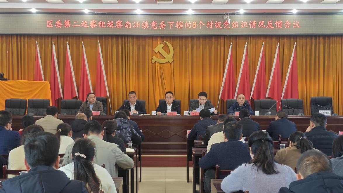 区委第二巡察组 巡察南洲镇党委下辖8个村级党组织 工作反馈会召开