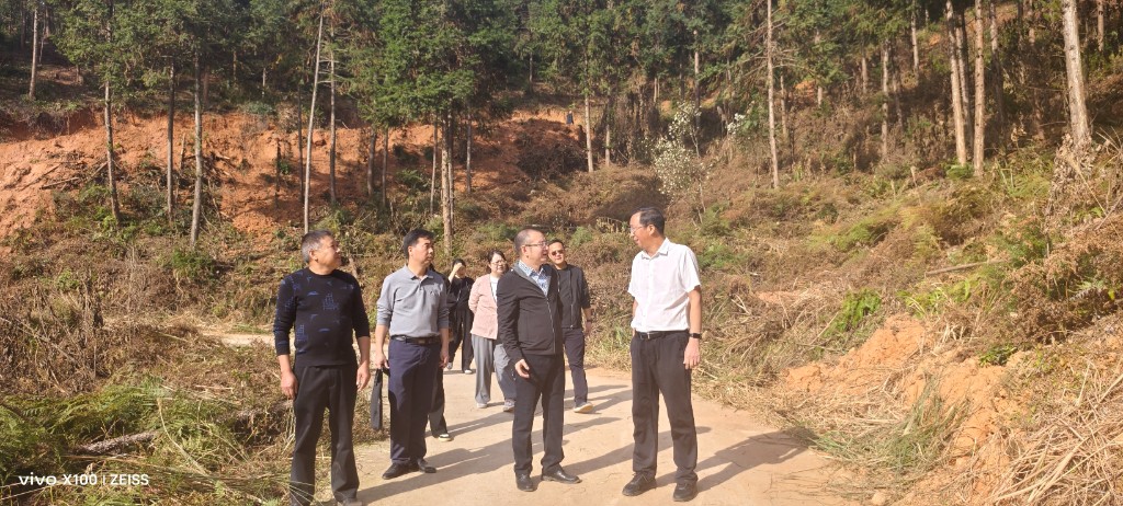 天元区人大常委会调研林长制工作