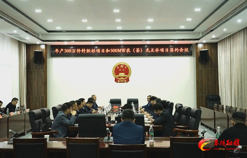 茶陵县300万件针织衫项目和300MW农(茶)光互补项目正式签约落地
