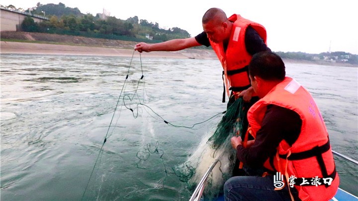 湖南省水生生物资源监测中心湘江资水站专家来渌口区开展水生生物资源监测调查