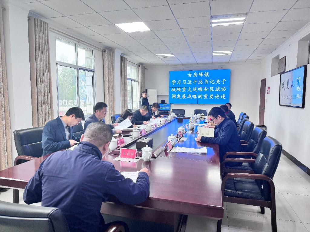 古岳峰镇党委理论学习中心组开展2024年11月份集中学习