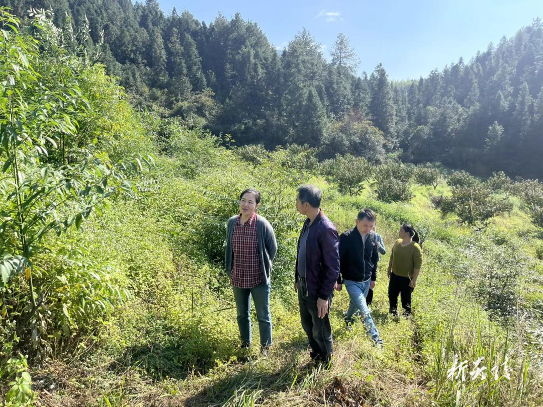 县委编办深入道任村调研指导乡村振兴工作