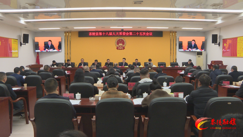 茶陵县第十八届人大常委会第二十五次会议召开