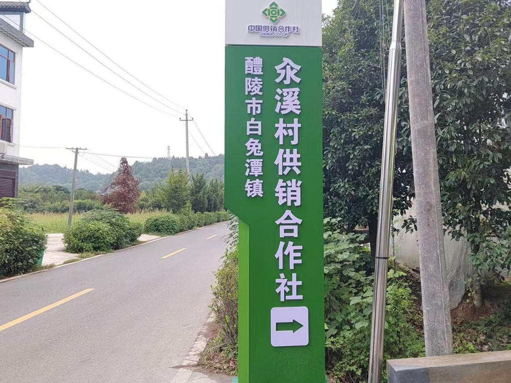 基层供销换新颜  惠民利民更有力