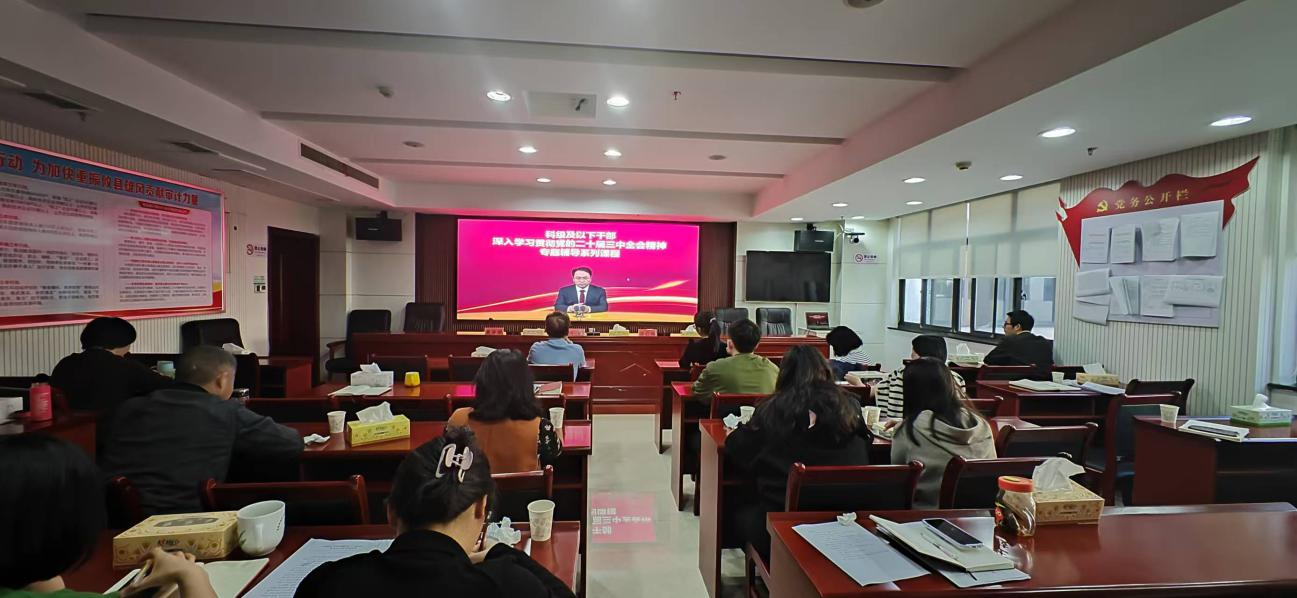 攸县审计局开展党的二十届三中全会精神集中培训