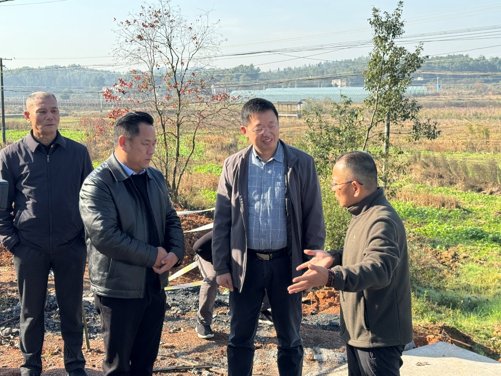 渌口区11月份镇人大工作调研交流会在古岳峰镇召开