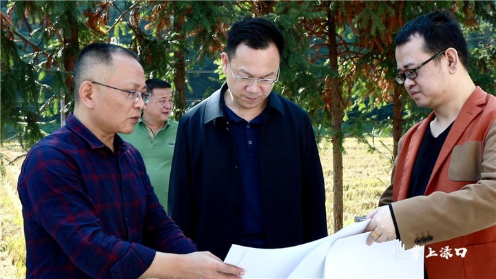 省人大常委会一行来区调研规范农村村民建房工作