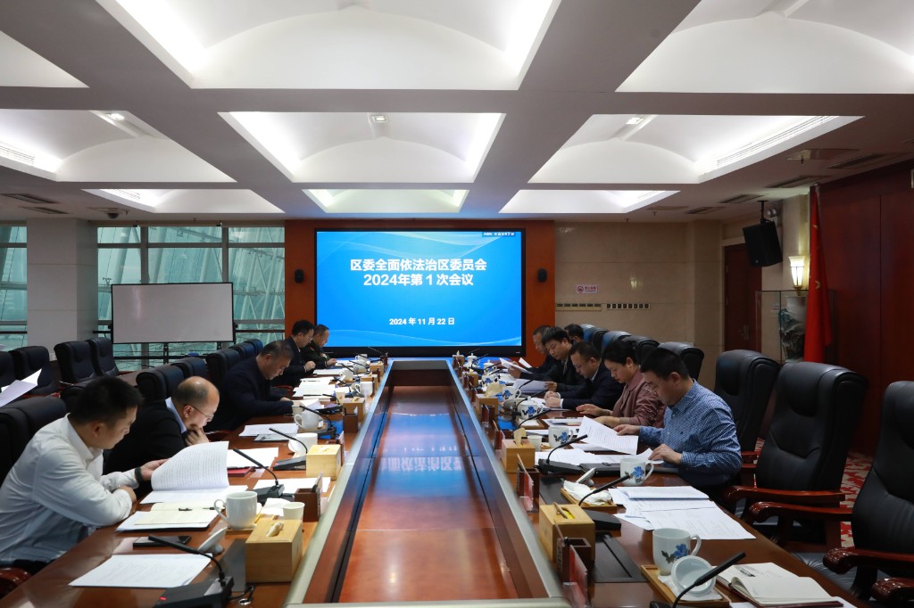区委全面依法治区委员会召开2024年第一次会议