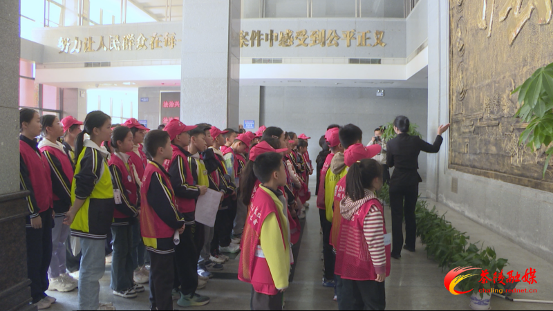 国家宪法日：小学生走进法院 普法教育“零距离
