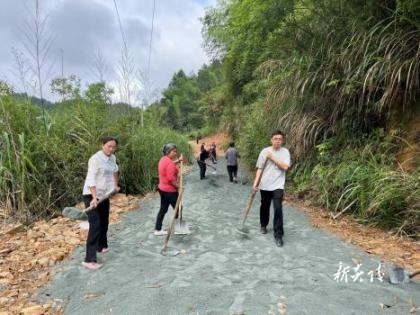 霞阳镇吉利村:人大代表显身手 助推和美乡村建设