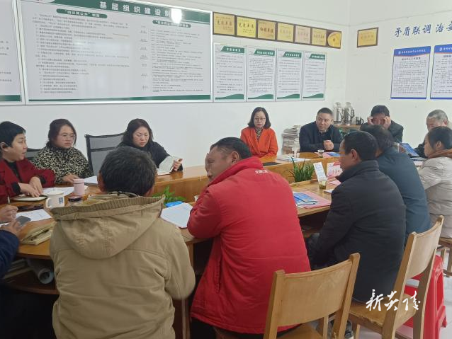 霞阳镇吉利村:人大代表显身手 助推和美乡村建设