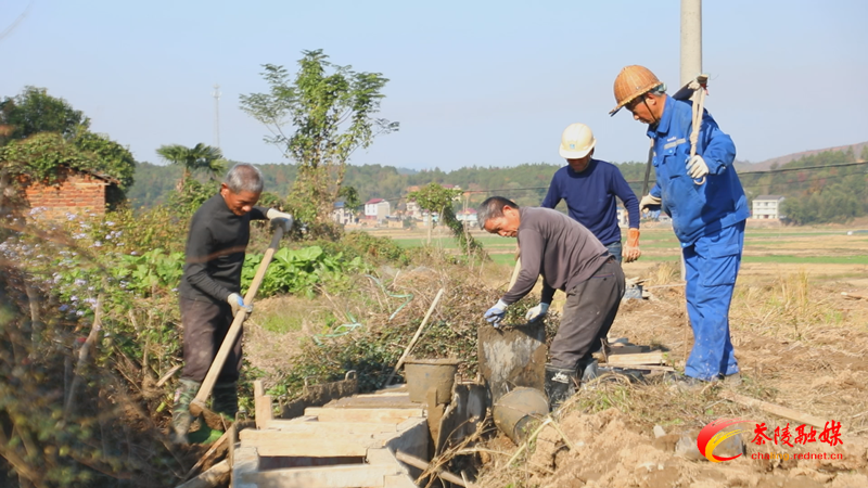 茶陵：冬修水利润良田 通渠保灌惠民生