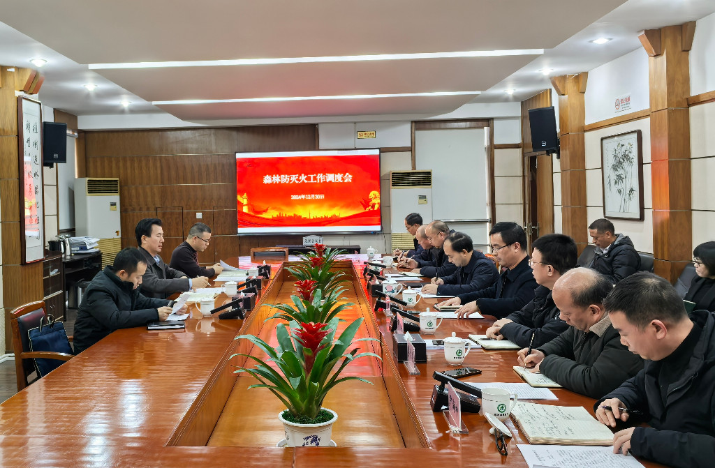 市政府副市长刘飞勇调研森林防灭火工作
