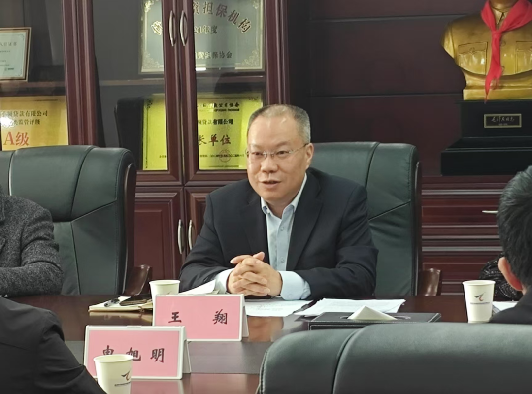 市审计局启动对株洲市金财融资担保集团有限公司运营情况专项审计