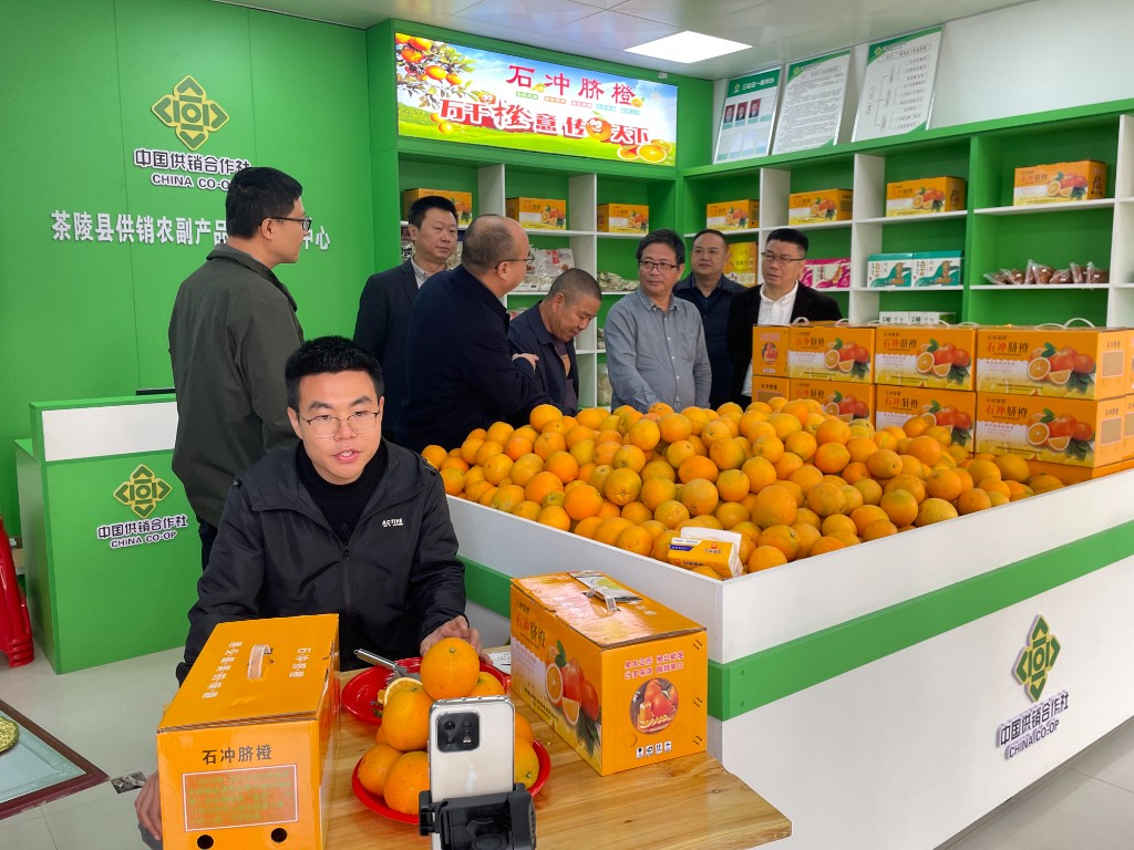 株洲市农村“三社合一”综合改革第三方 评估指导组到茶陵开展评估工作