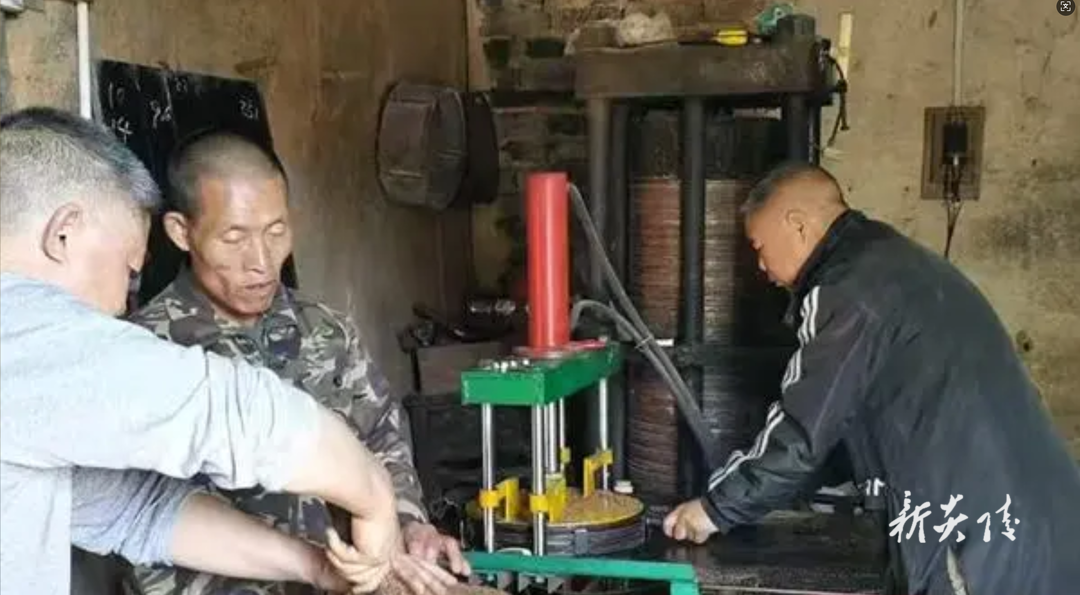 船形乡：丰收季节茶油飘香 “小油茶”成为“致富果”