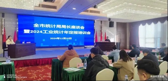 全市统计局局长座谈会暨2024工业统计年定报培训会在茶陵召开