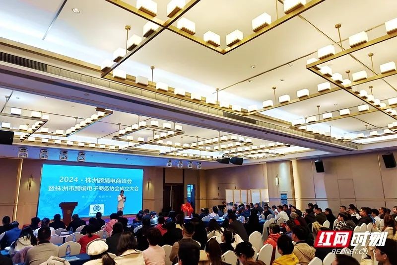 株洲市跨境电商协会成立