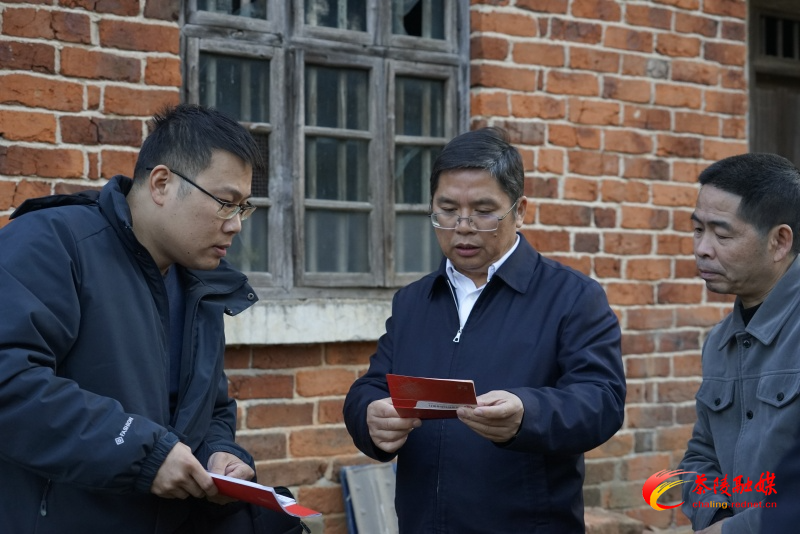 邓元连带队到虎踞镇督导乡村振兴工作