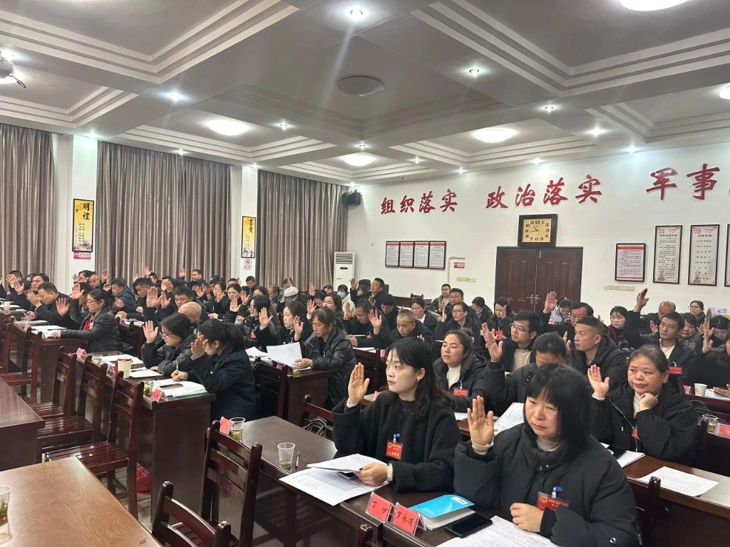 南洲镇第二届人民代表大会第八次会议胜利召开