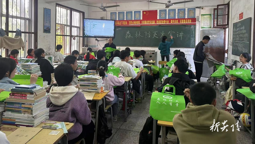 沔渡镇：森林防火进校园 携手共筑安全网
