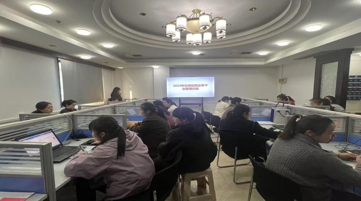 石峰区人社局开展就业专干一对一业务培训会 助力基层就业服务提质增效