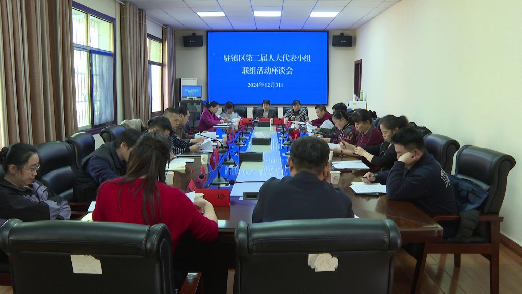 李晓彤参加渌口镇区人大代表小组活动
