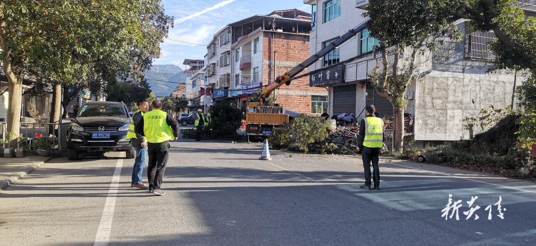 水口镇：修剪树木除隐患 畅通道路保安全