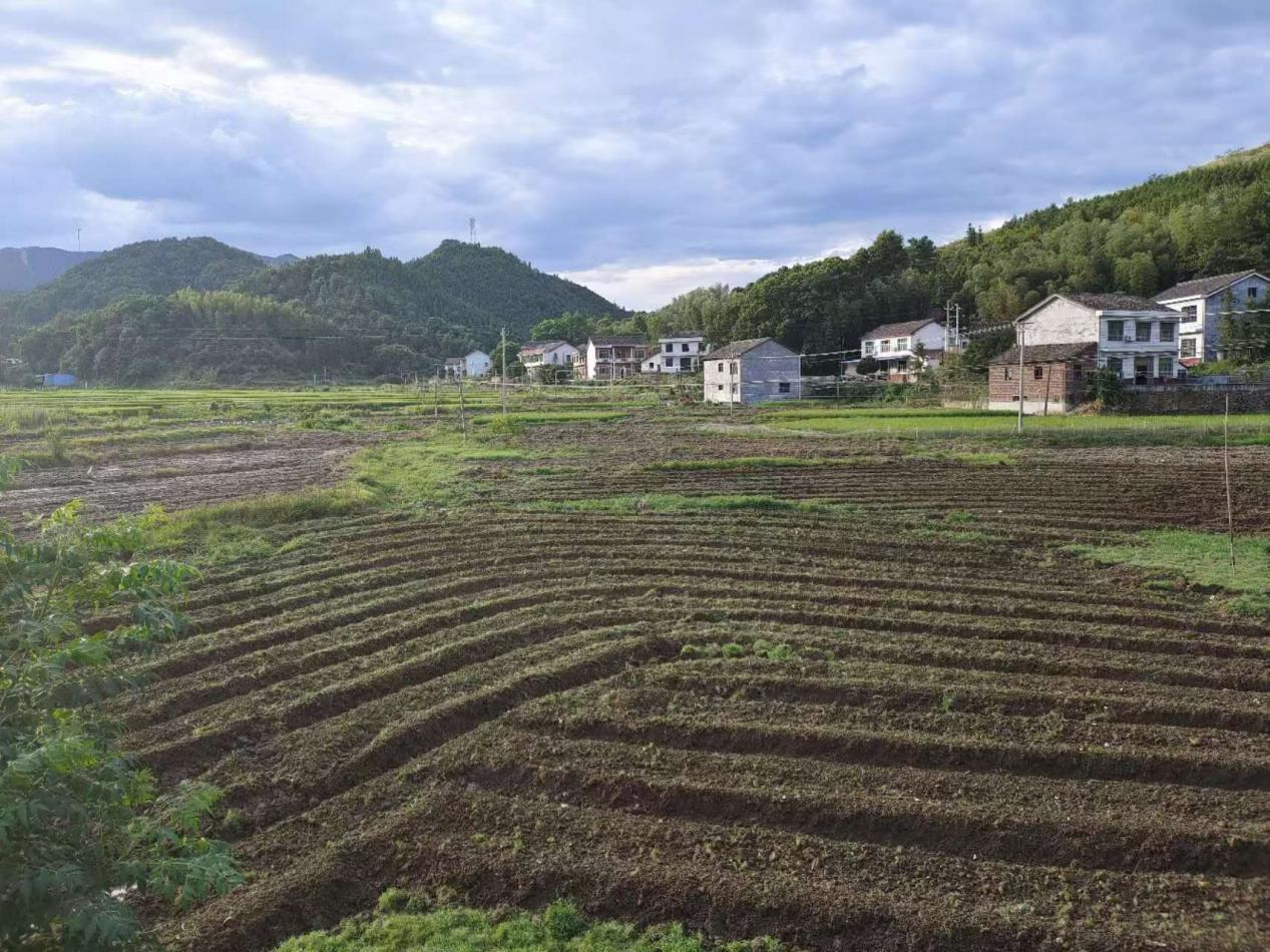 严把图斑整改质量关 坚守耕地红线不动摇