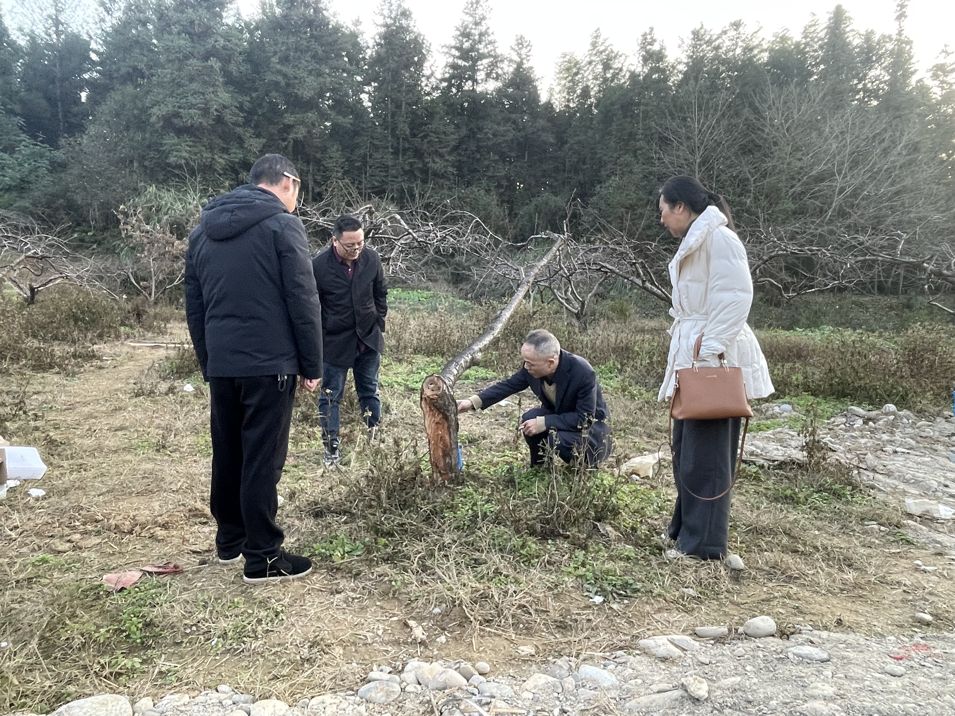 扎实推进2024年设施农业建设项目实施