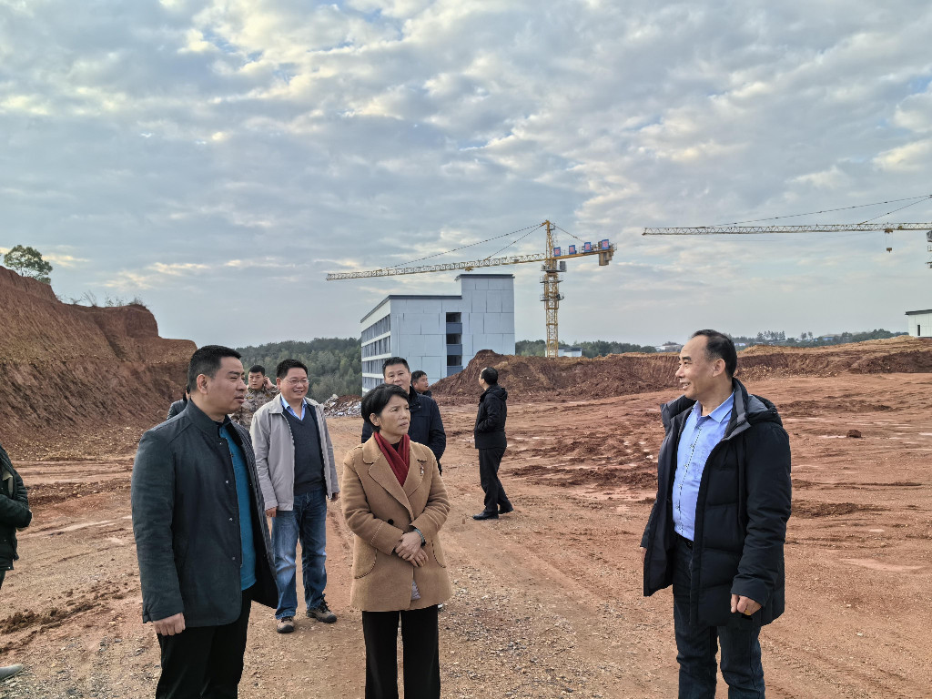 旗帜高扬 港口蝶变——株洲市交通运输局助力攸县港口村乡村振兴
