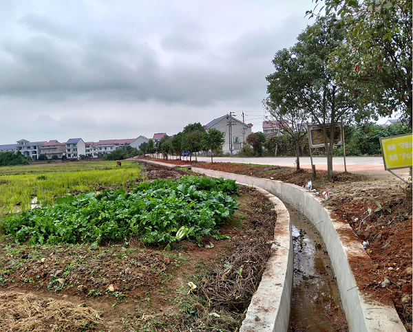 联星街道圳江村：扎实推进项目建设，打造乡村生态新画卷