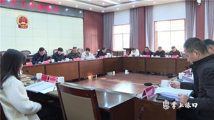 渌口区召开区委人大工作座谈会
