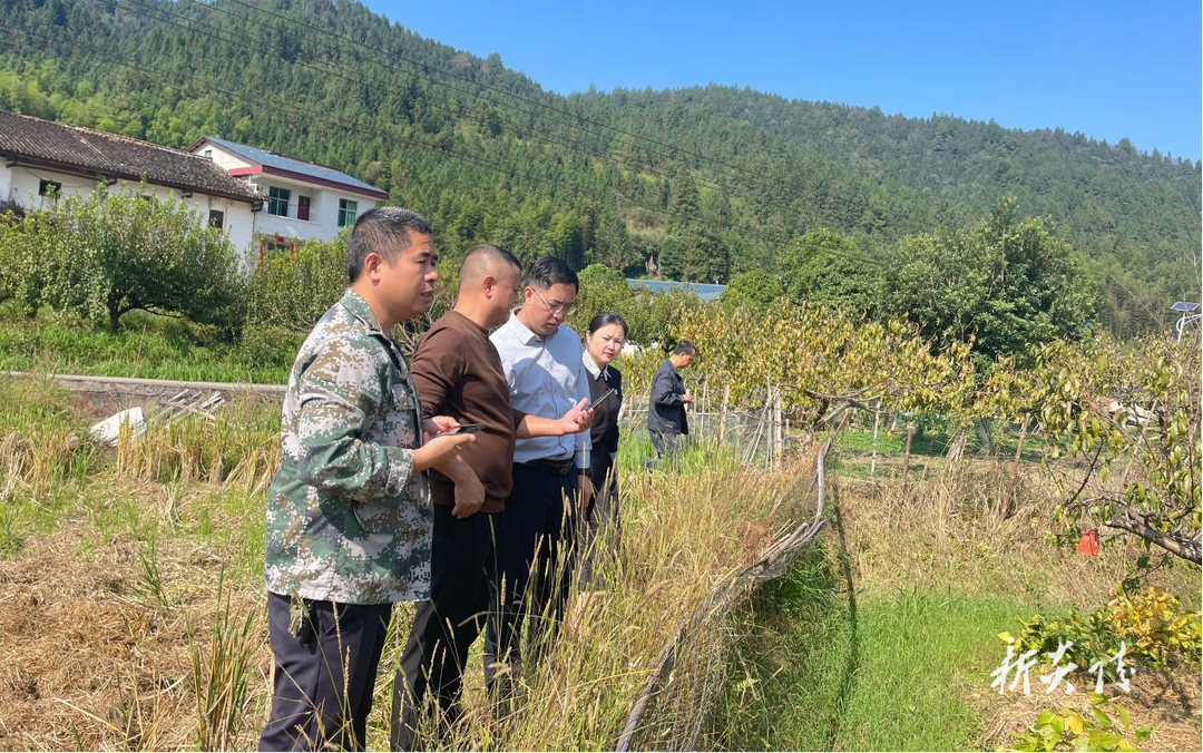 水口镇：全力以“复” 筑牢“耕”基护“粮”田