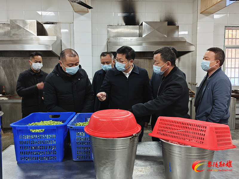 杨红兵到马江镇督导乡村振兴、安全生产工作