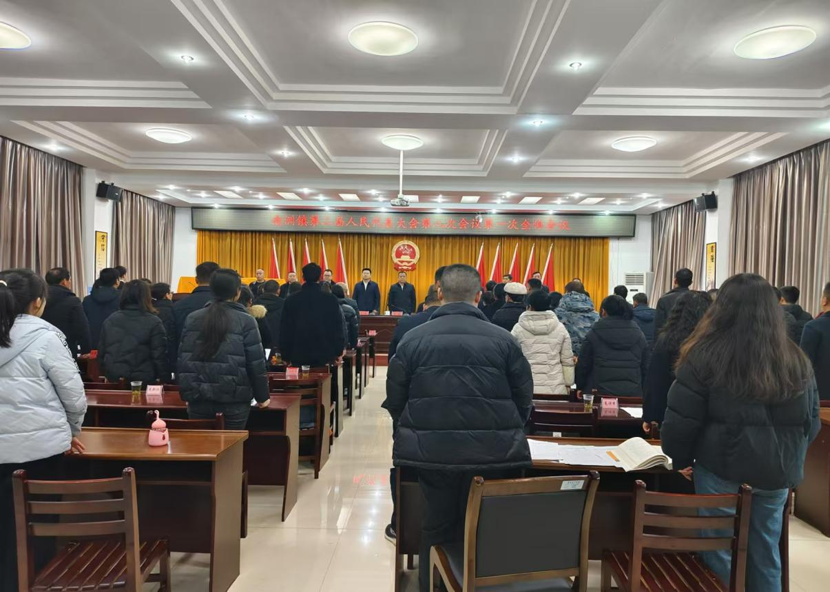 南洲镇第二届人民代表大会第八次会议胜利召开