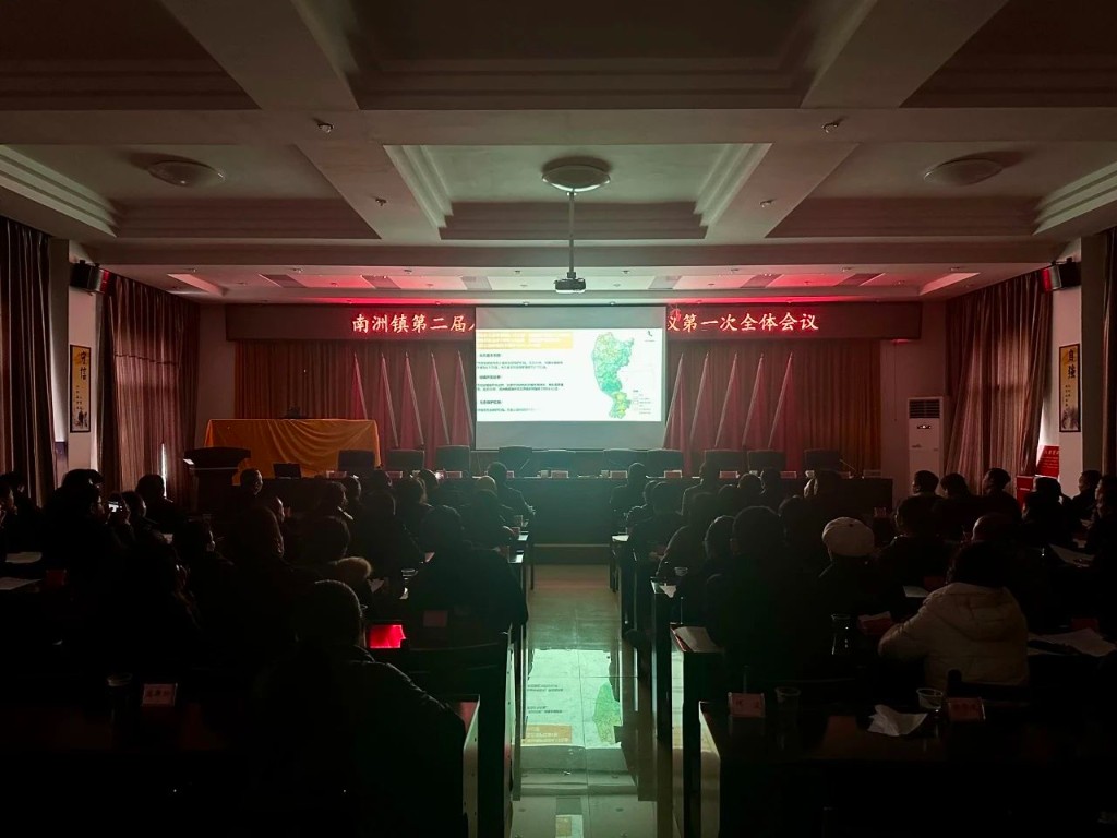 南洲镇第二届人民代表大会第八次会议胜利召开