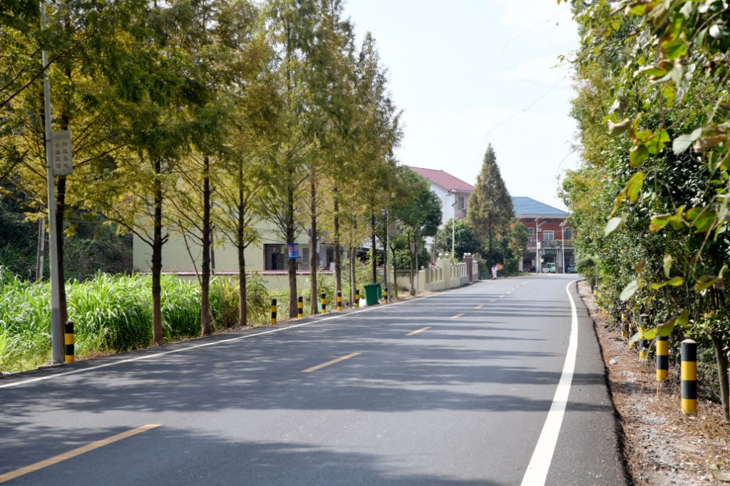 一切为了美好出行 ——株洲交通事务中心推进干线公路大中修工程纪实
