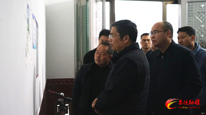 邓元连到秩堂镇、高陇镇督导乡村振兴工作