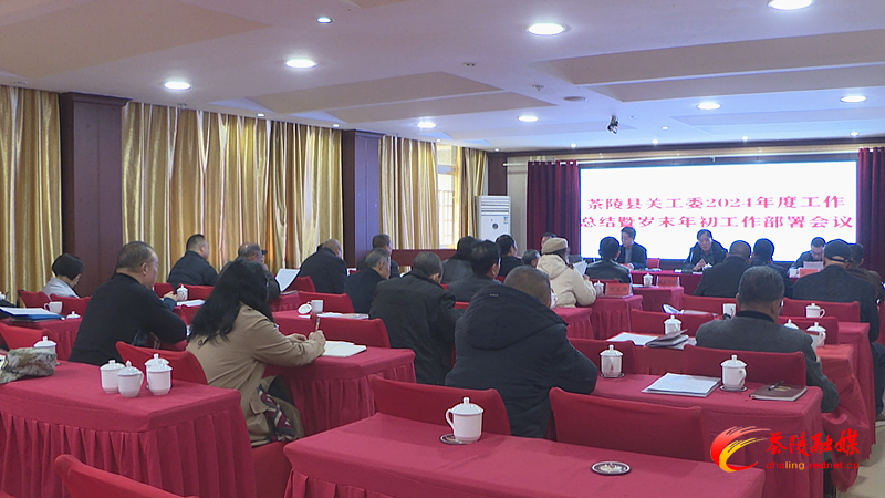 茶陵县2024年度关心下一代工作总结表彰会召开