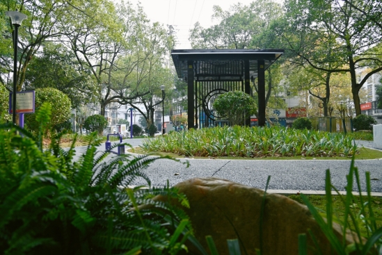 芦淞区又一微公园建成对外开放