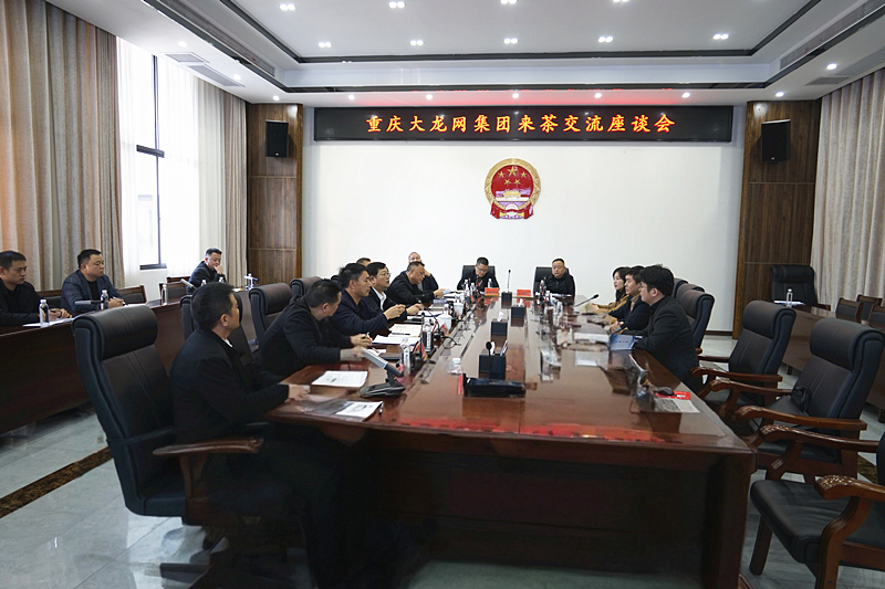 重庆大龙网集团来茶考察