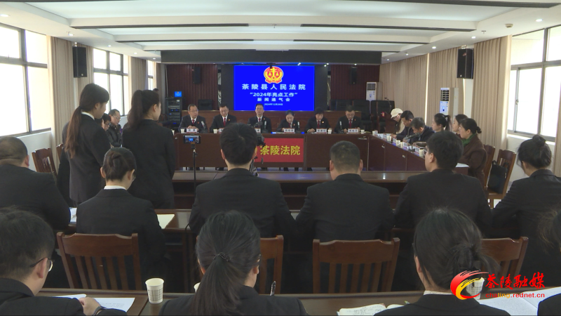 茶陵县人民法院召开“2024年亮点工作”新闻通气会