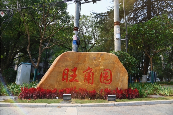 芦淞区又一微公园建成对外开放