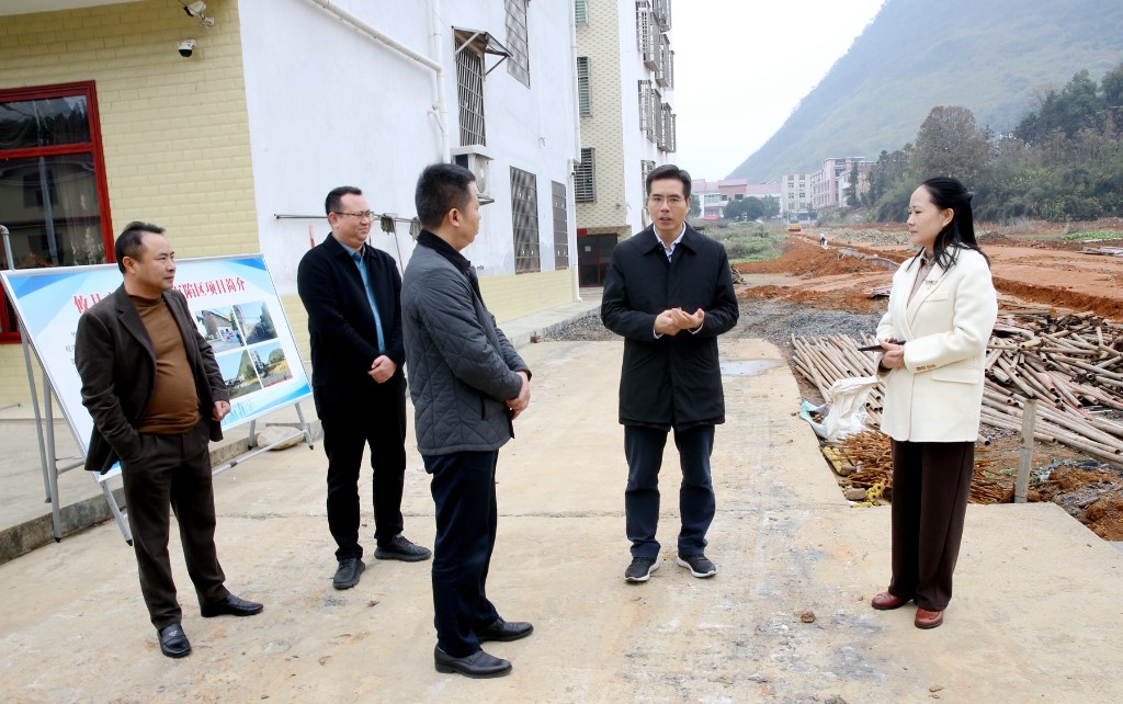 武挪强赴鸾山镇调研经济社会发展情况