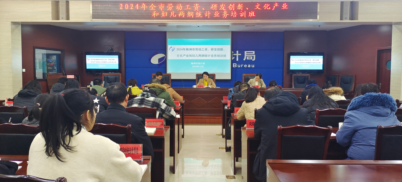 市统计局举办全市劳动工资、研发创新、文化产业和妇儿两纲统计业务培训班