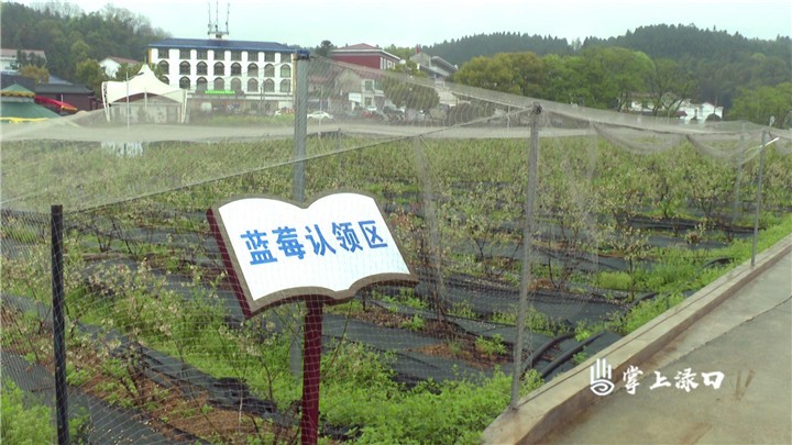 渌口区朱亭百果园景区拟确定为3A级旅游景区